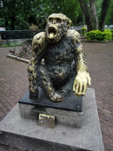 El macaco Tião, en pose de político electo: "Dame más!"